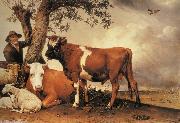 POTTER, Paulus Young Bull oil painting on canvas